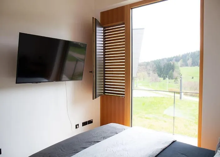 Tolle Bergvilla Im Osterzgebirge Villa Altenberg